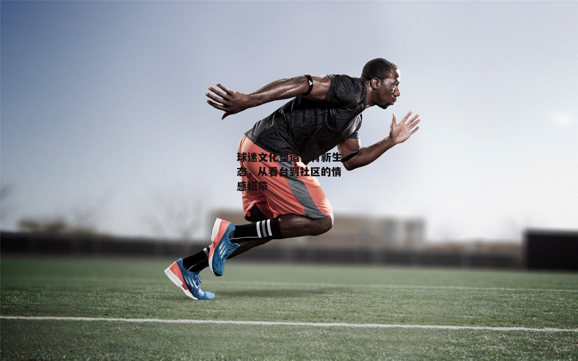 球迷文化塑造体育新生态,从看台到社区的情感纽带