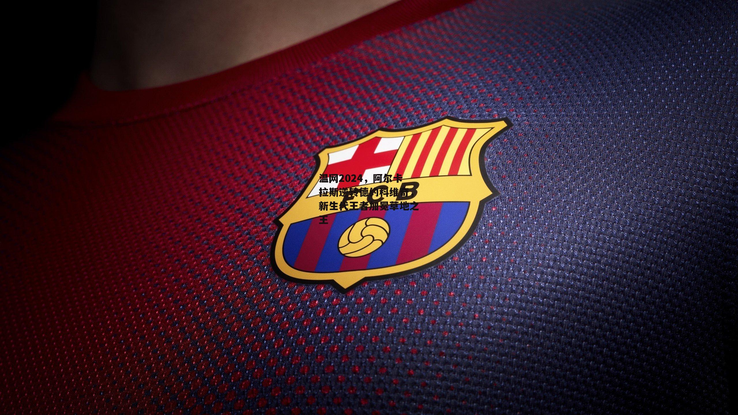 温网2024,阿尔卡拉斯逆转德约科维奇,新生代王者加冕草地之王