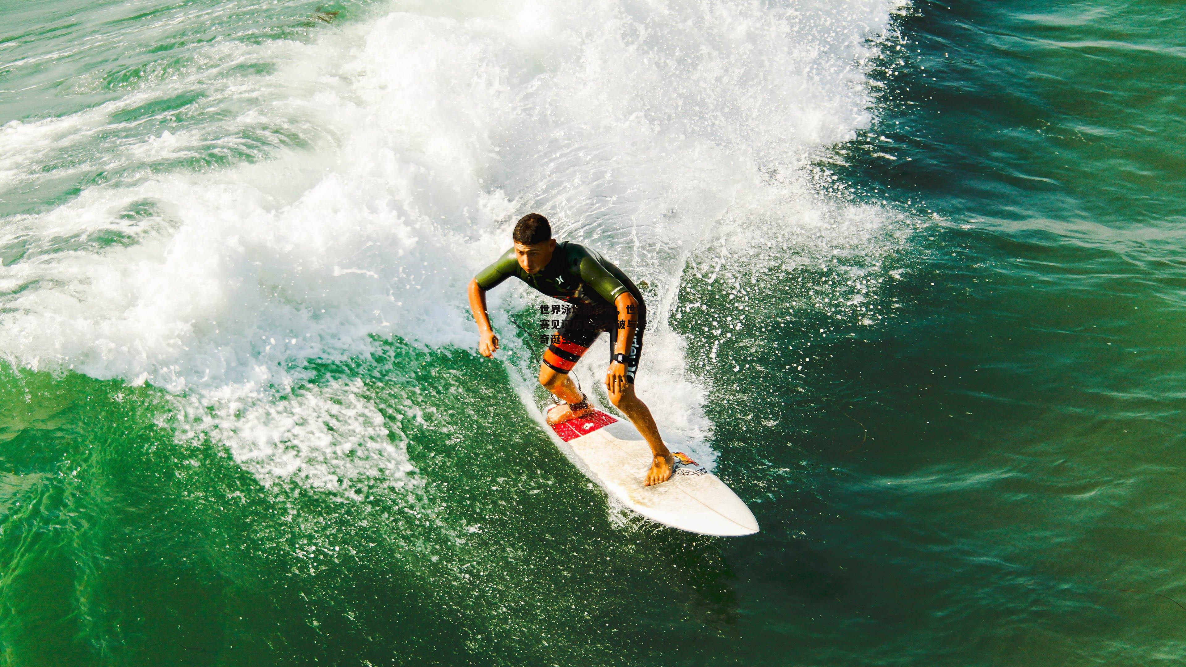 世界泳坛新纪元,世锦赛见证历史性突破与传奇诞生